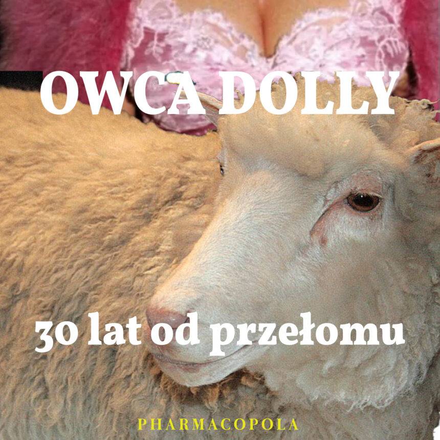 POST-PROSTY Owca Dolly (1996-2003), 30 lat od naukowego przełomu